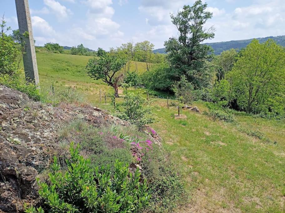 Ecrin De Verdure En Ardeche Verte Colombier-le-Vieux Exterior photo